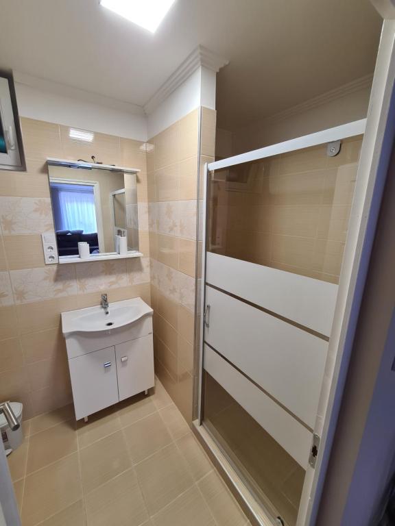 毛科Napfény Apartman的带淋浴和盥洗盆的浴室