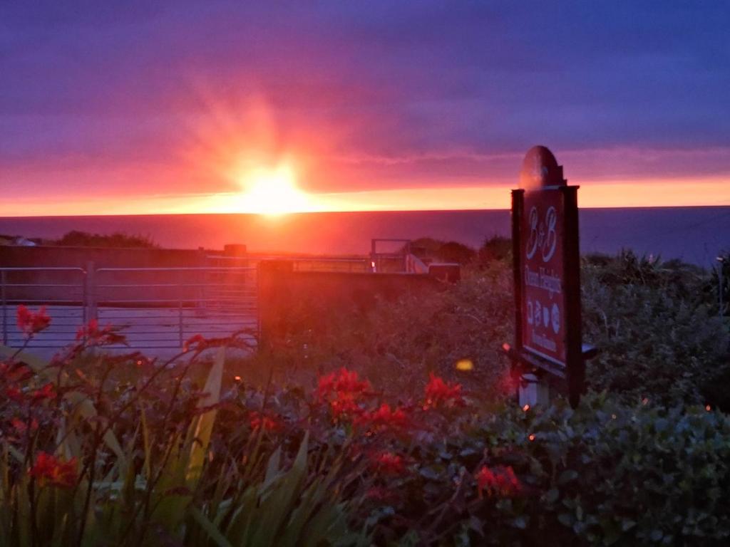Lissadell海洋高地住宿加早餐旅馆的海上的日落,有标志和鲜花