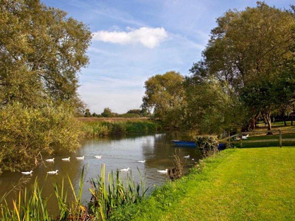 牛津Cherbridge Lodges - Riverside lodges, short lets (business or holidays)的河里河里有一堆鸭子