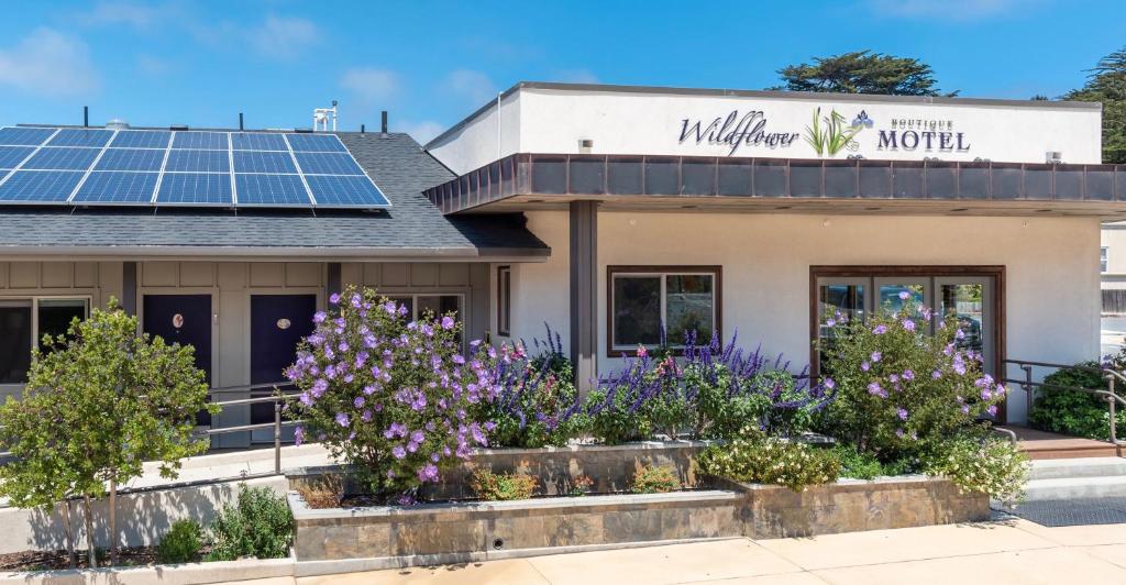 波因特阿里纳Wildflower Boutique Motel的屋顶上设有太阳能电池板的建筑