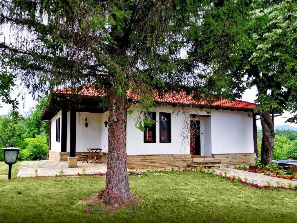 Бор и Шишарка的院子中一棵树的小白色房子