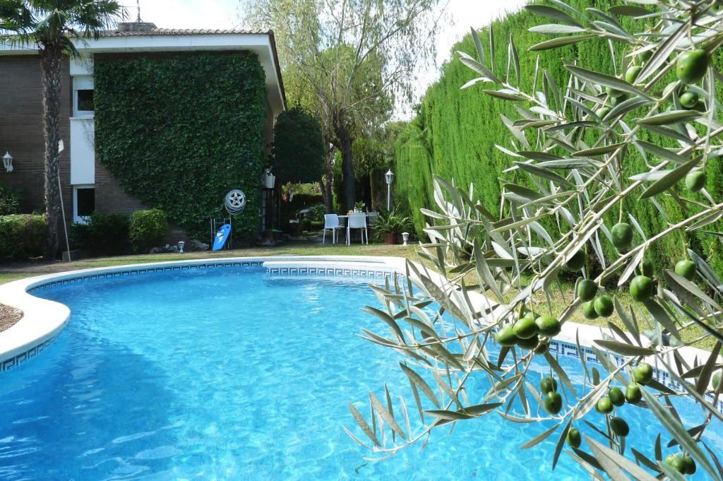 库尼特VILLA DORADA的树荫庭院中的游泳池