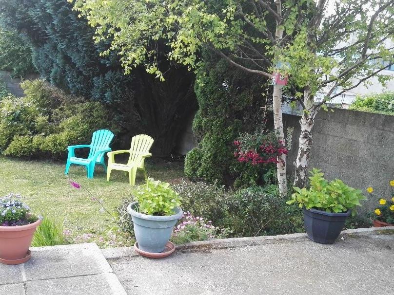 沃特福德The Vee Guest Accommodation的花园里有两把椅子和两株盆栽植物