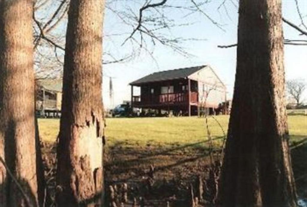 亚历山德里亚Susan's Cottages的两棵树的田野里一个大房子