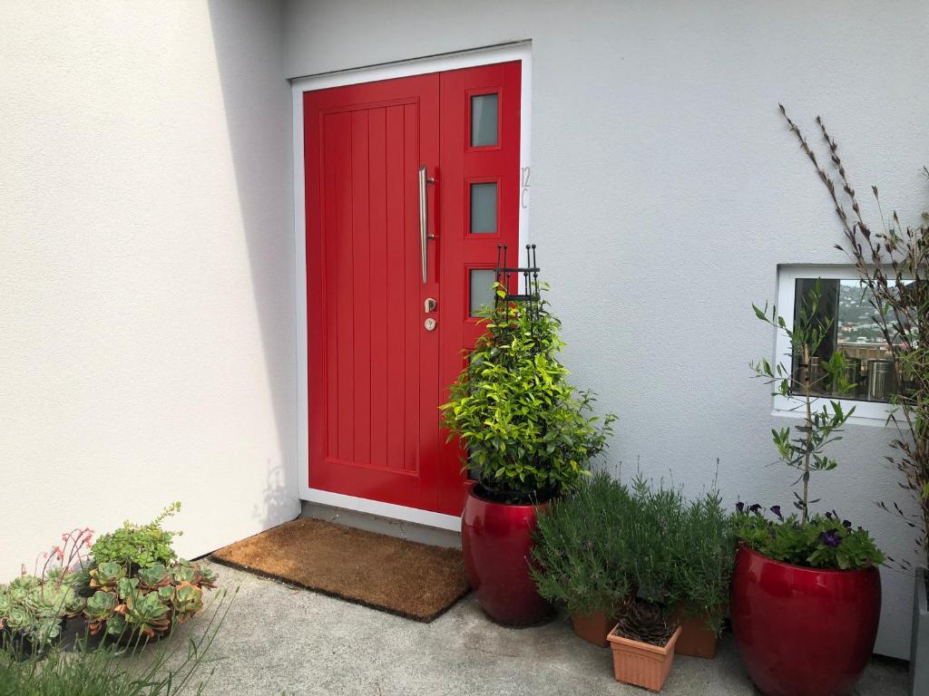 KelburnExecutive style bedroom的房子前有盆栽的红门