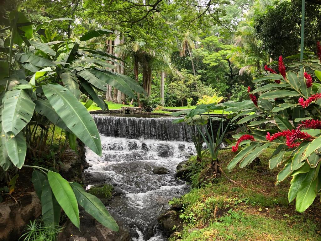 Caluco塞莫天堂度假屋的热带花园中的瀑布,种有鲜花