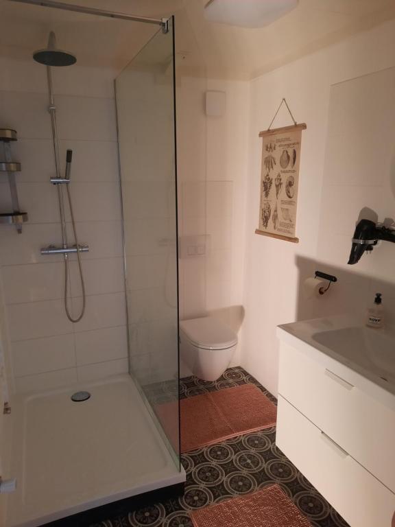 斯哈伦代克Studio Bluuven的带淋浴、卫生间和盥洗盆的浴室