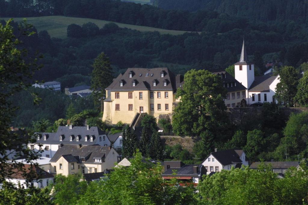 道恩Schloßhotel Kurfürstliches Amtshaus Dauner Burg的村子里的一群房子和教堂