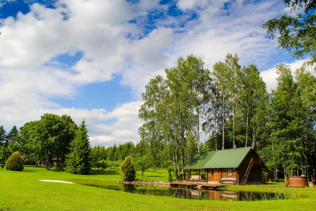 阿尼克什奇艾Storių sodyba的公园里的一个小屋,有池塘和树木