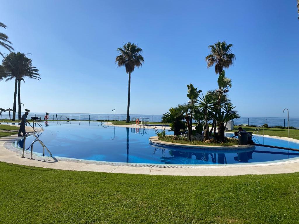 卡拉德米哈斯Mi Capricho Apartment with Sea Views and Gardens的棕榈树和海滩的游泳池