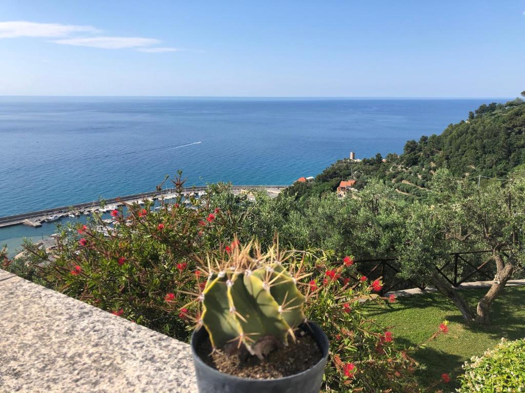 菲纳莱利古雷得利尤里维住宿加早餐旅馆的坐在近海墙上的盆子里的植物