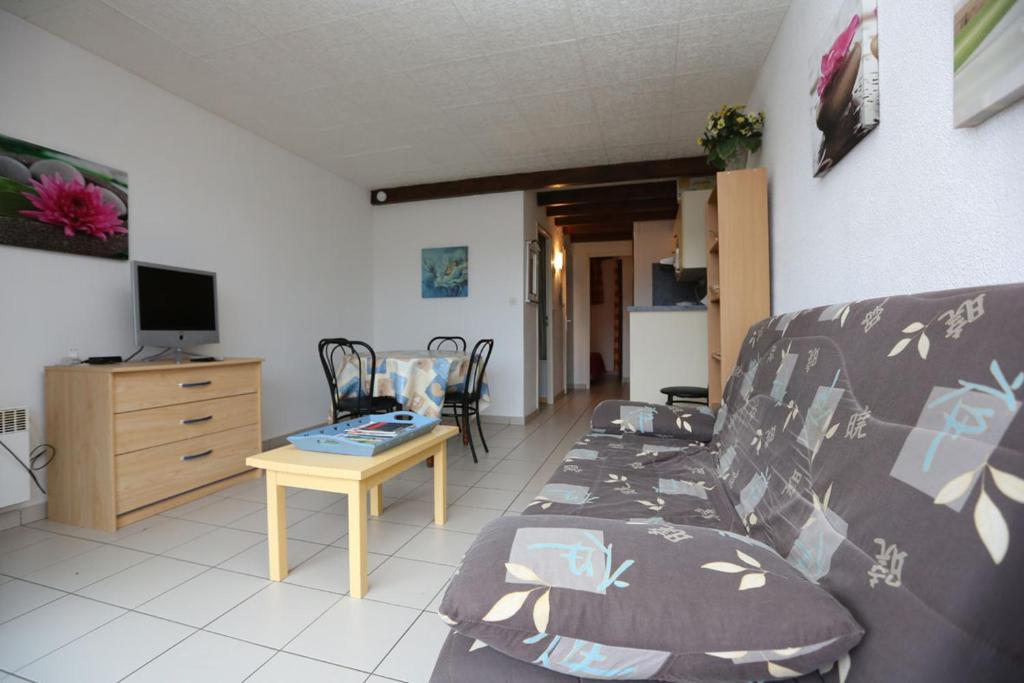 滨海阿热莱斯Agréable T2 climatisé的客厅配有沙发和桌子