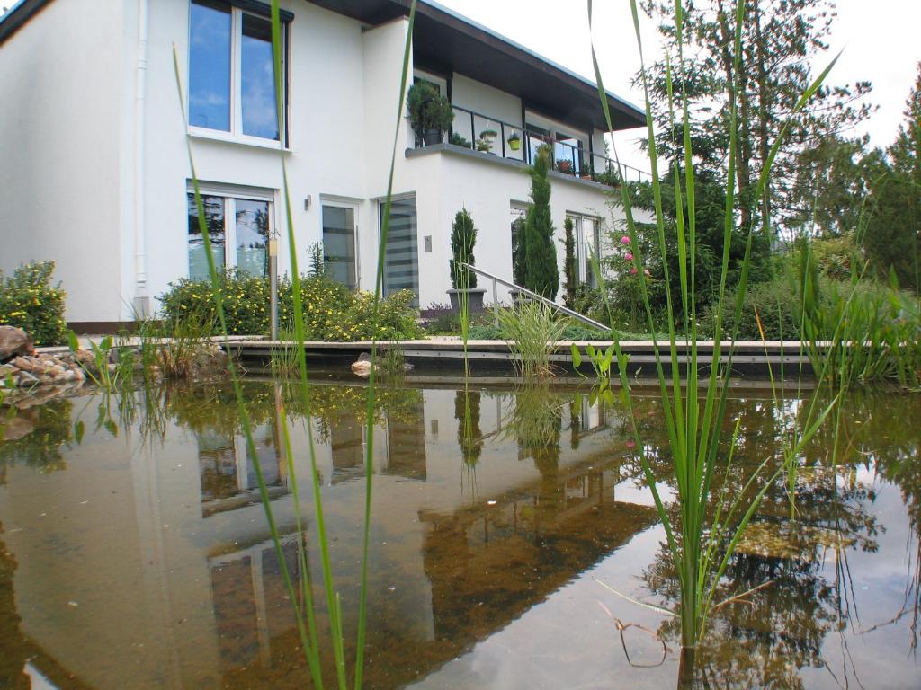 ZierenbergFerienwohnung in Waldrandlage的前面有池塘的房子