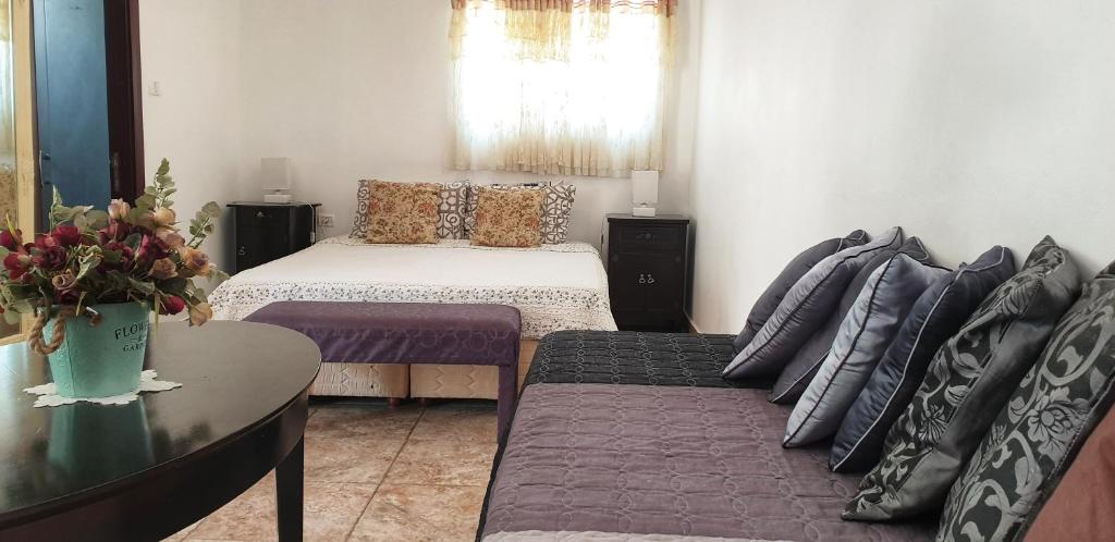 尼夫佐哈Martini Dead Sea的客厅配有床和沙发