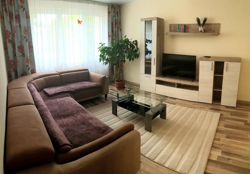 格奥尔盖尼Orhidea Apartman的带沙发和平面电视的客厅