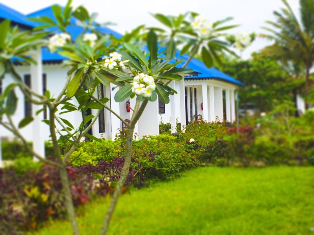 南威吉戈韦德尼别墅的前面有树木和鲜花的白色房子