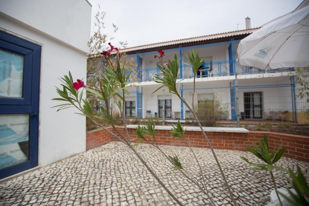 贝雅HI Beja - Pousada de Juventude的白色的建筑,前面有蓝色的窗户和植物