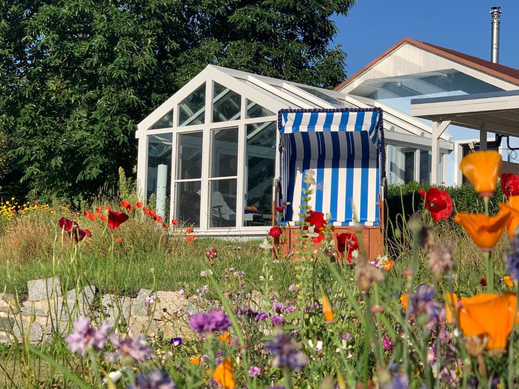 洛默Ferienhaus bei den Kreidefelsen - Ihr Zuhause auf Rügen的温室前花田里的椅子