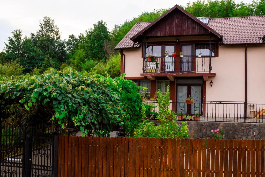 RacoviţaCasa NITU的前面有围栏的房子