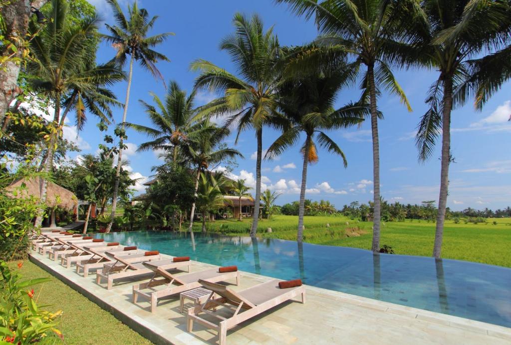 乌布MATHIS Retreat Ubud的度假村的游泳池配有躺椅和棕榈树