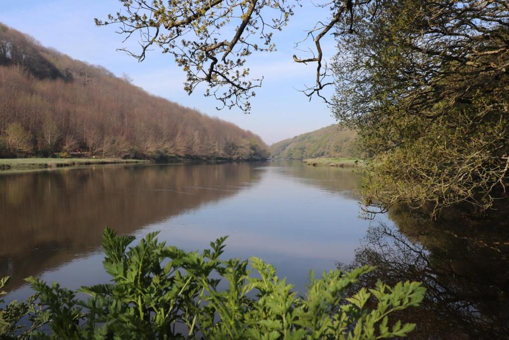 普卢盖尔诺Moulin des Baleines de Kérandraon Plouguerneau的享有山脉背景的河流美景