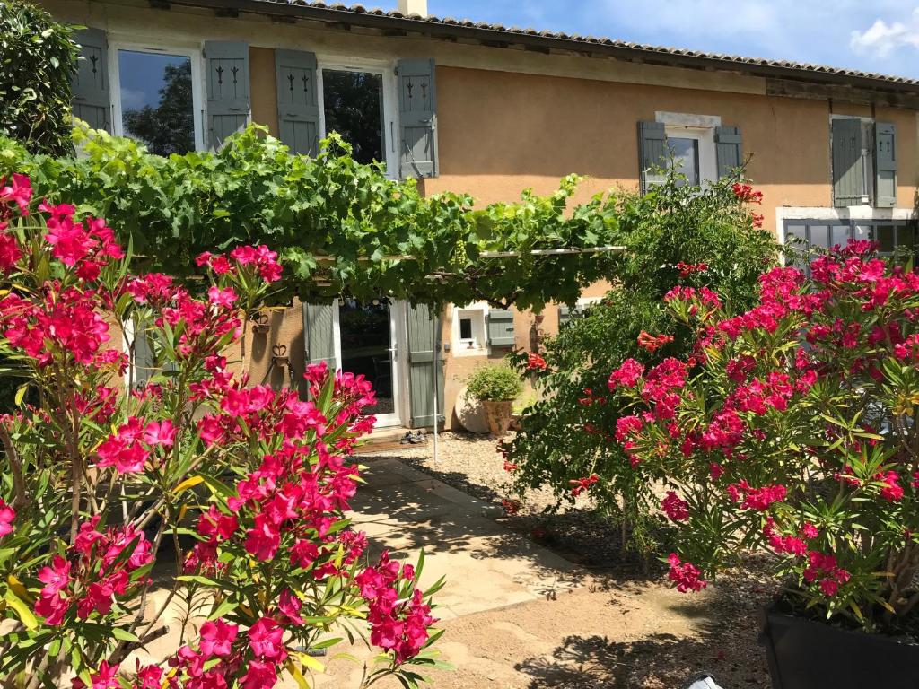 维列莫尔贡La Gatille的一座花园,在房子前方种有粉红色的花朵