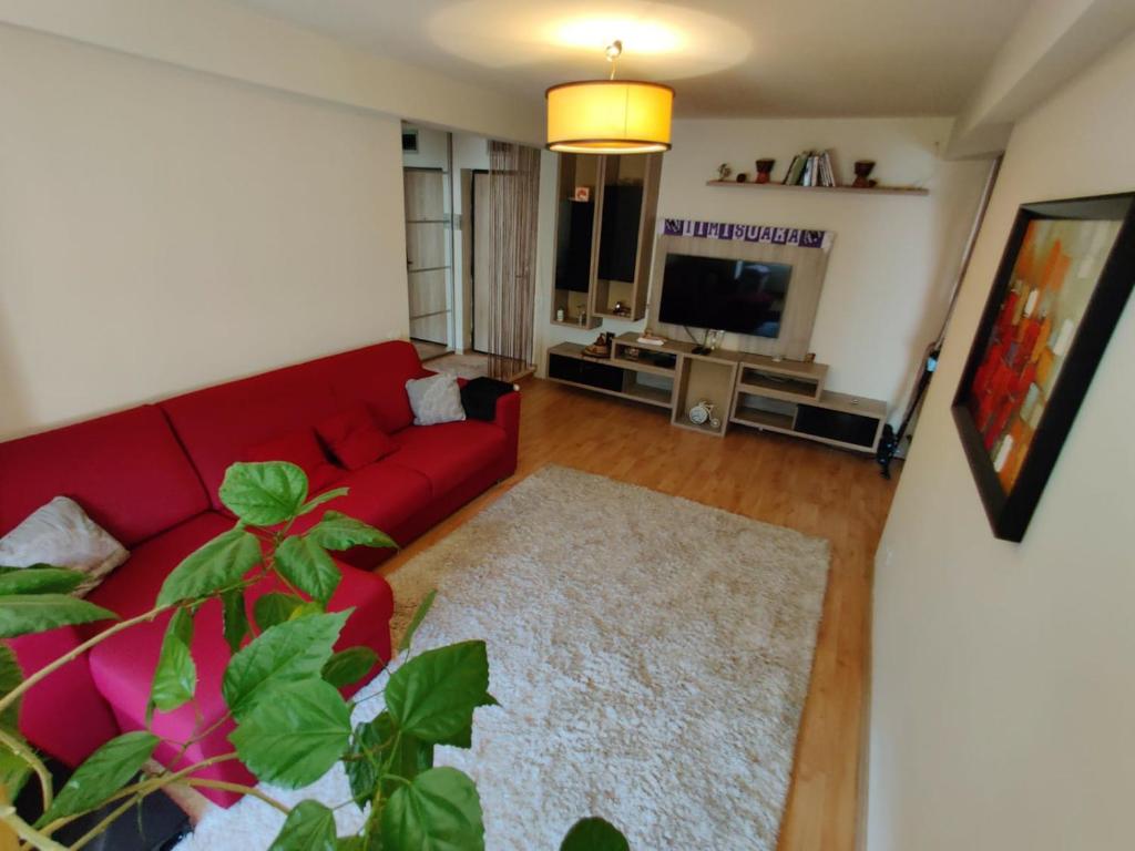蒂米什瓦拉Lucky Home Timisoara 1的客厅配有红色沙发和电视