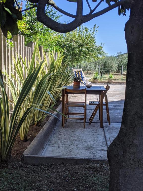卡萨尔博迪诺Appartamento in Villa的坐在树边的桌子和椅子