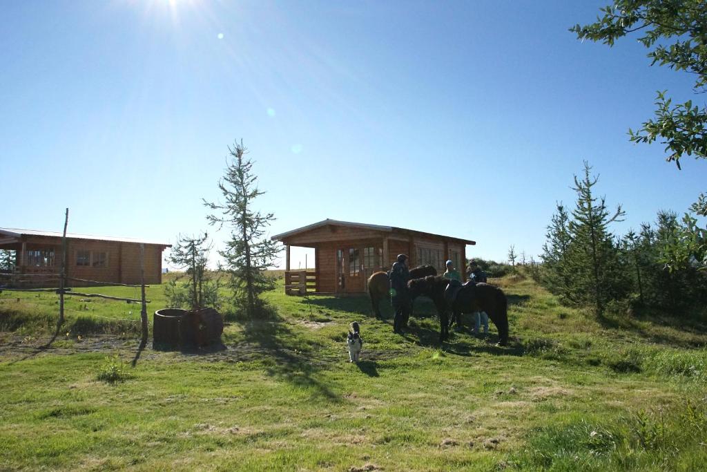 ReynistaðurArmuli的一群骑马在田野上的人