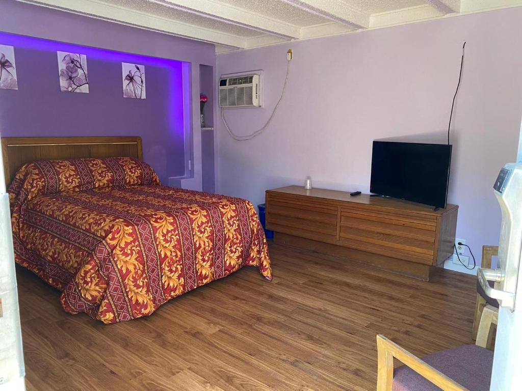 德斯普兰斯Des Plaines Motel的一间卧室配有一张床和一台平面电视