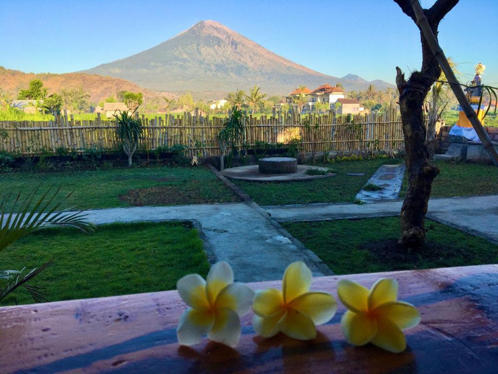 艾湄湾Agung Inn Amed的桌子上两朵花,背靠山