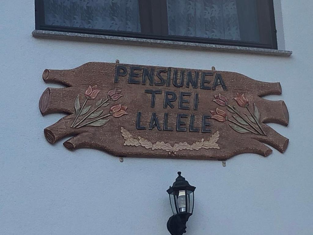 莫伊塞Pensiunea Trei Lalele的建筑一侧有路灯的标志