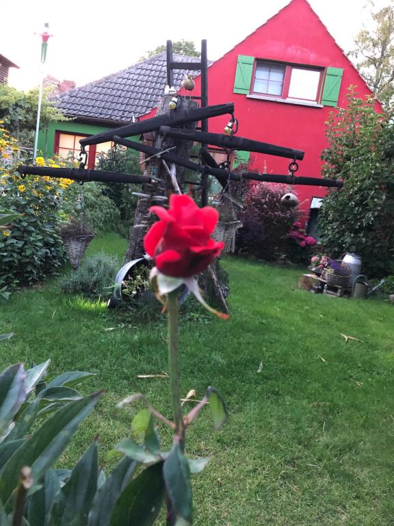 青斯特Zur Alten Filmkiste的院子里有红花的红色房子