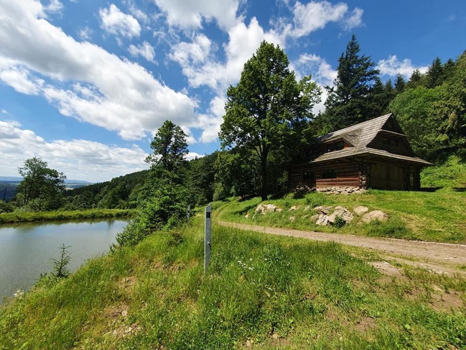 JugówDomek Górski przy Bukowej Chacie的湖畔小山上的小木屋