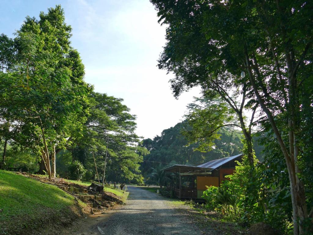 西必洛西必洛住宿加早餐旅馆的一条土路,边有一座建筑和树木