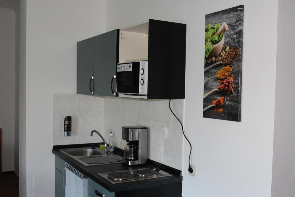 亨施泰特-乌尔茨堡Apartment Hotel的厨房配有水槽和微波炉
