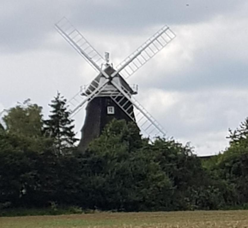 克吕茨Mühlenblick的田野中间的风车