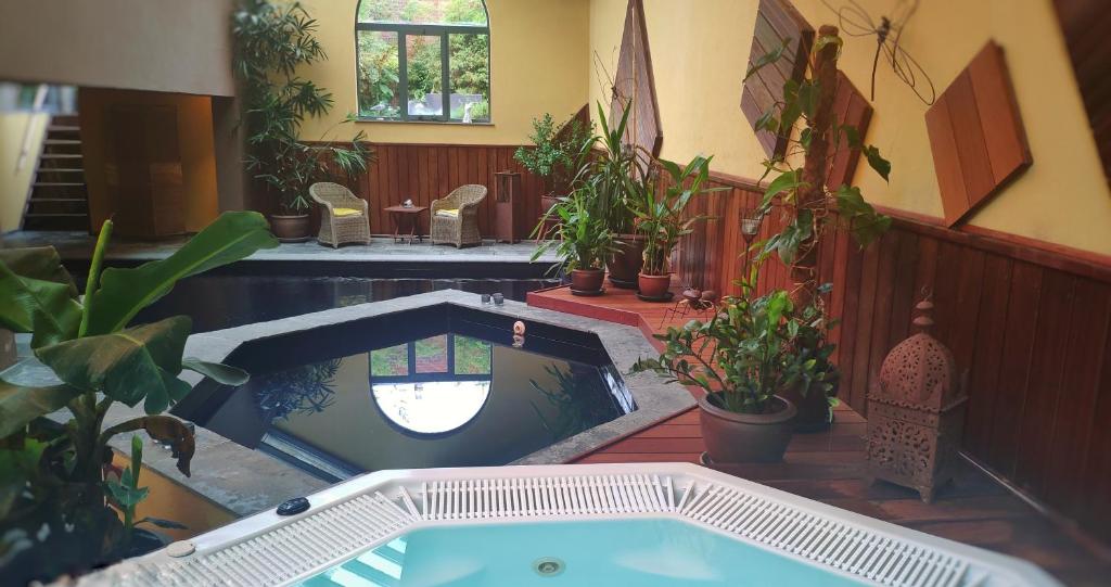 图尔奈B&B Aquavert & Wellness的室内大型室内游泳池,室内种植盆栽植物