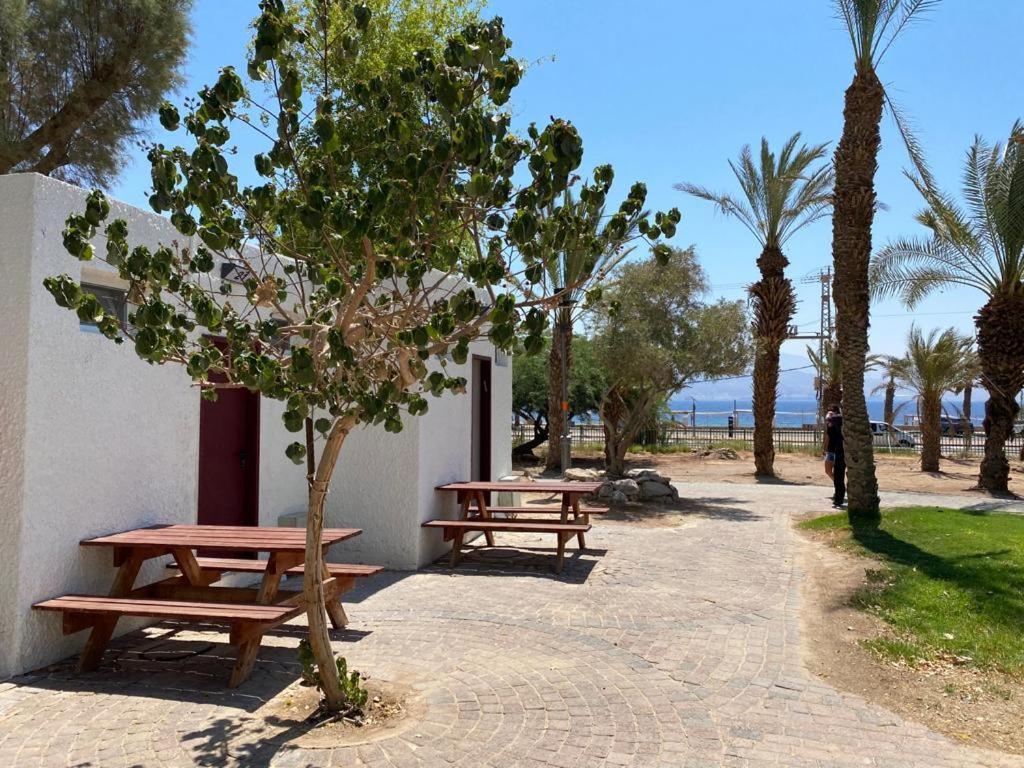 埃拉特SPNI Eilat Field School的两张野餐桌,位于一个棕榈树公园内