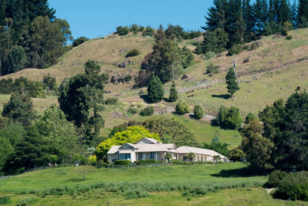 Maraekakaho曼瑟山林小屋的草山中间的房子