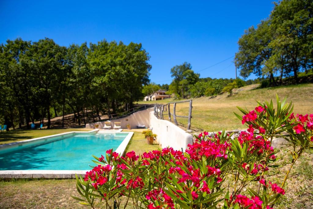 昂苏伊Le Mas Sérénité的一座游泳池,位于一个拥有粉红色花卉的庭院内