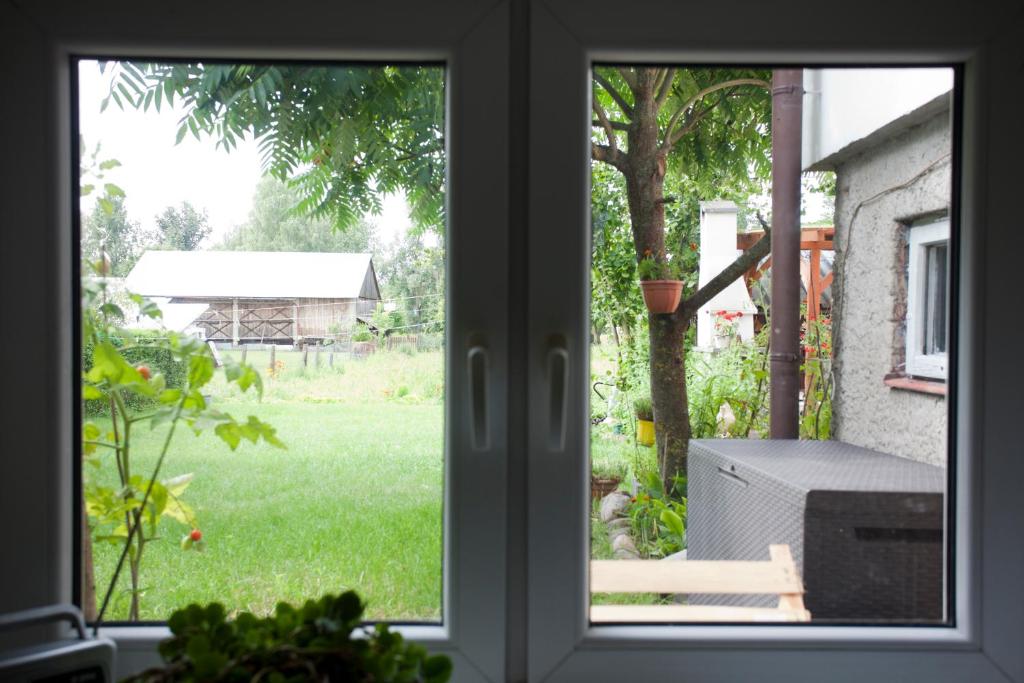谢米亚蒂切Rustykalny Apartament的从窗户可欣赏到庭院的景色