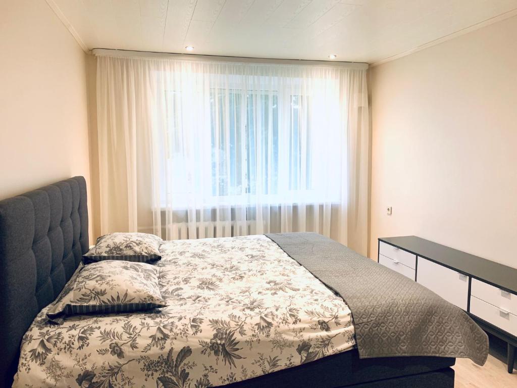 瓦尔加Sepa Apartment的一间卧室设有一张床和一个大窗户