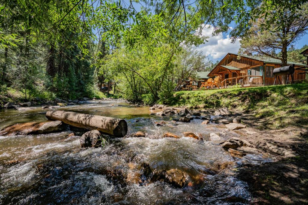 埃弗格林Colorado Bear Creek Cabins的房屋前有木头的河流