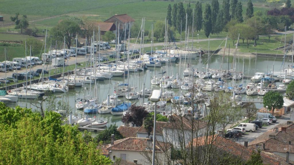 Mortagne-sur-GirondeGrande maison charentaise avec vue sur le chenal superbes couchés de soleil sur l estuaire de la gironde!的水中充斥着许多船只的码头
