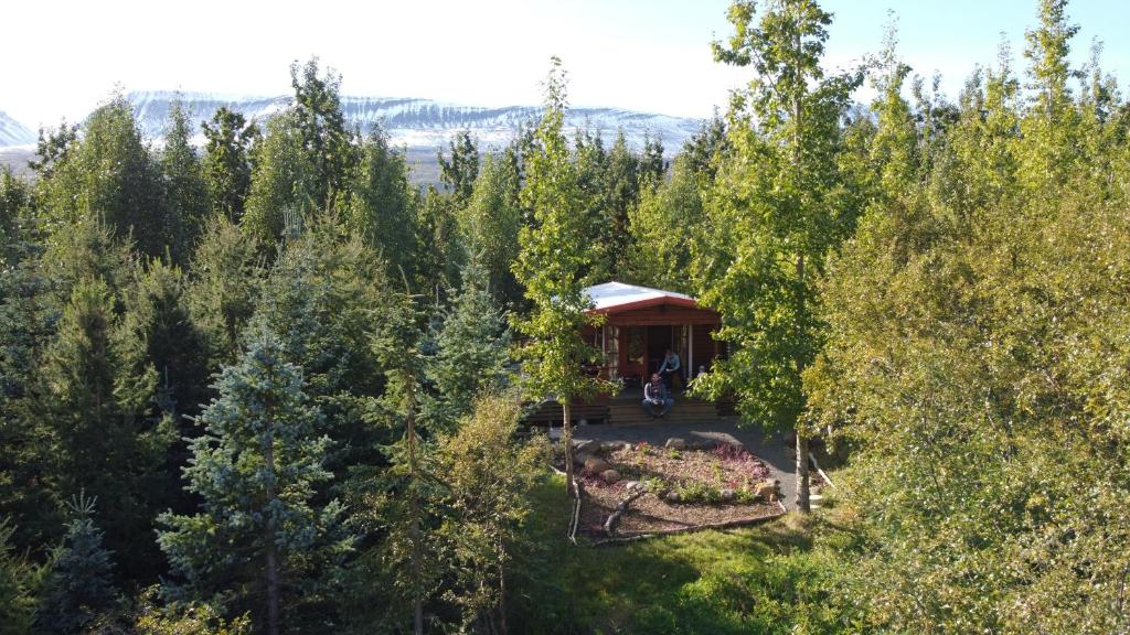阿克雷里Bakkakot 1 - Cozy Cabins in the Woods的森林凉亭的空中景观