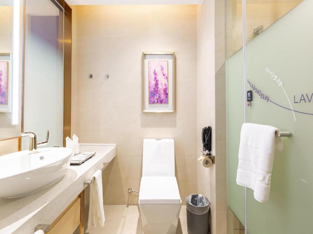 南昌Lavande Hotel Nanchang Qingyunpu Zhuqiao East Road的白色的浴室设有水槽和镜子