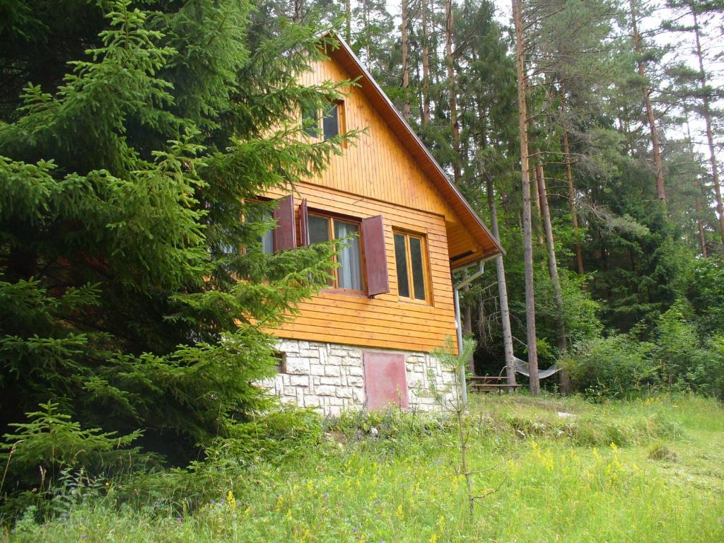 Spišské Tomášovce查塔泽拉塔克度假屋的森林中间的小房子
