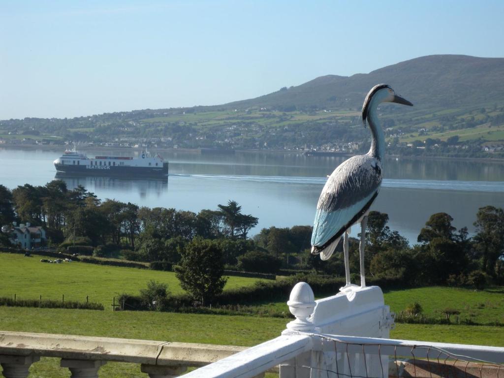 罗斯特雷弗海景旅馆的鸟站在栏杆上,俯瞰着水体