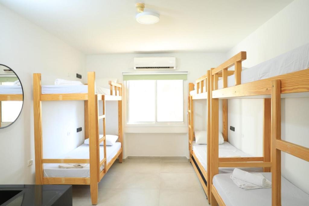 埃拉特SPNI Eilat Field School的有四张双层床和一扇窗户的房间